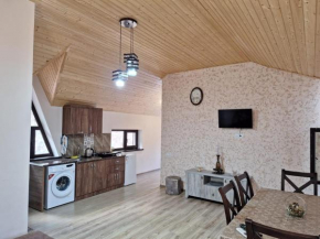 Cozy & Nice House Dilijan
